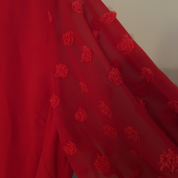 NWOT Red Swiss dot GiGio blouse - Picture 4 of 5